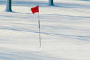 This might have been the scene at Red Trail Run Golf Course in Decatur, Ill.