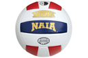 IU East is 25th in the Tachikara-NAIA Volleyball Coaches' Preseason Top 25 poll