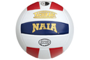 IU East is 24th in the Tachikara-NAIA Volleyball Coaches Poll.