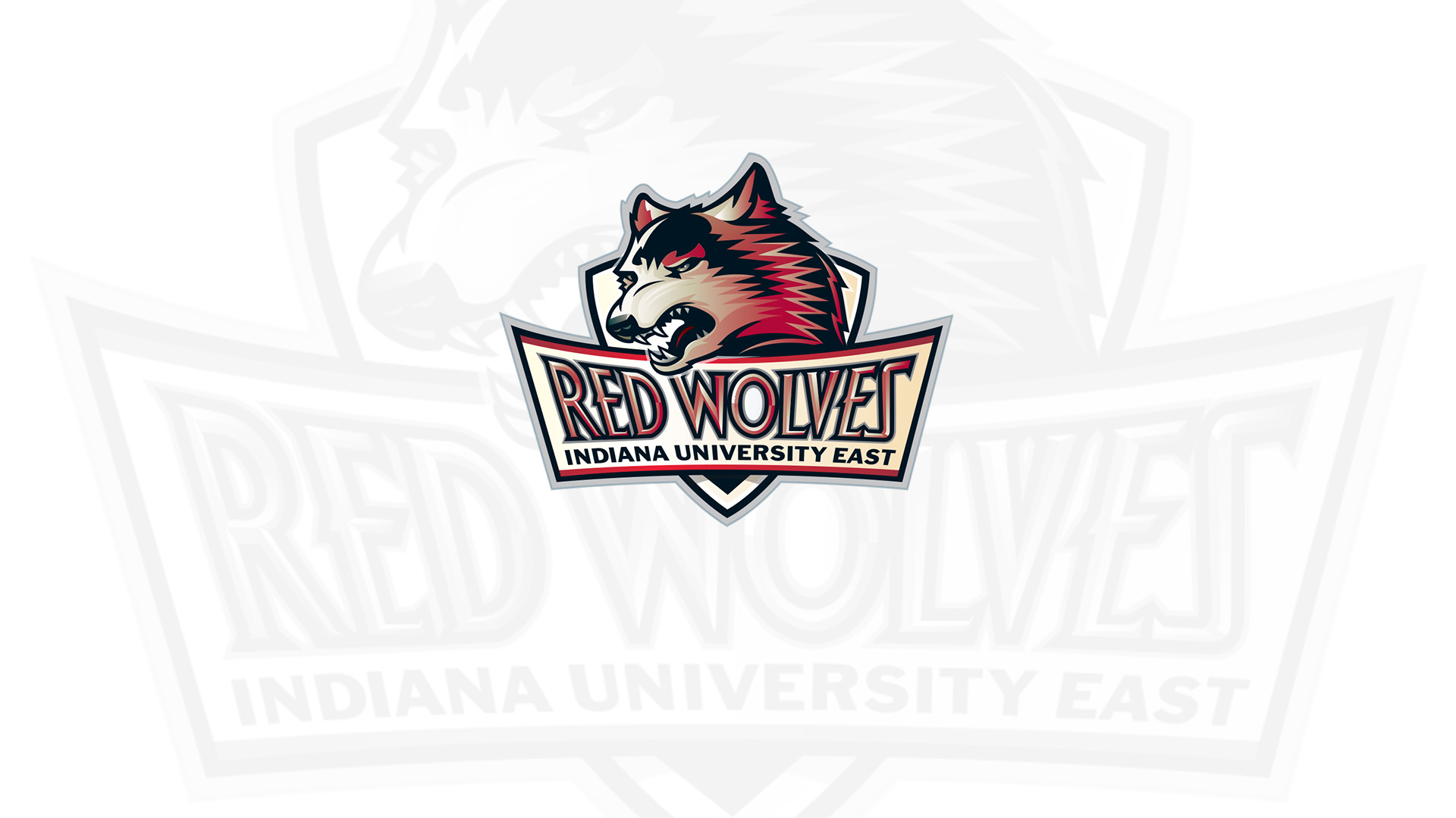 Johnson, Meyer, Billups, Maiga Honored by RSC in Yearly Awards