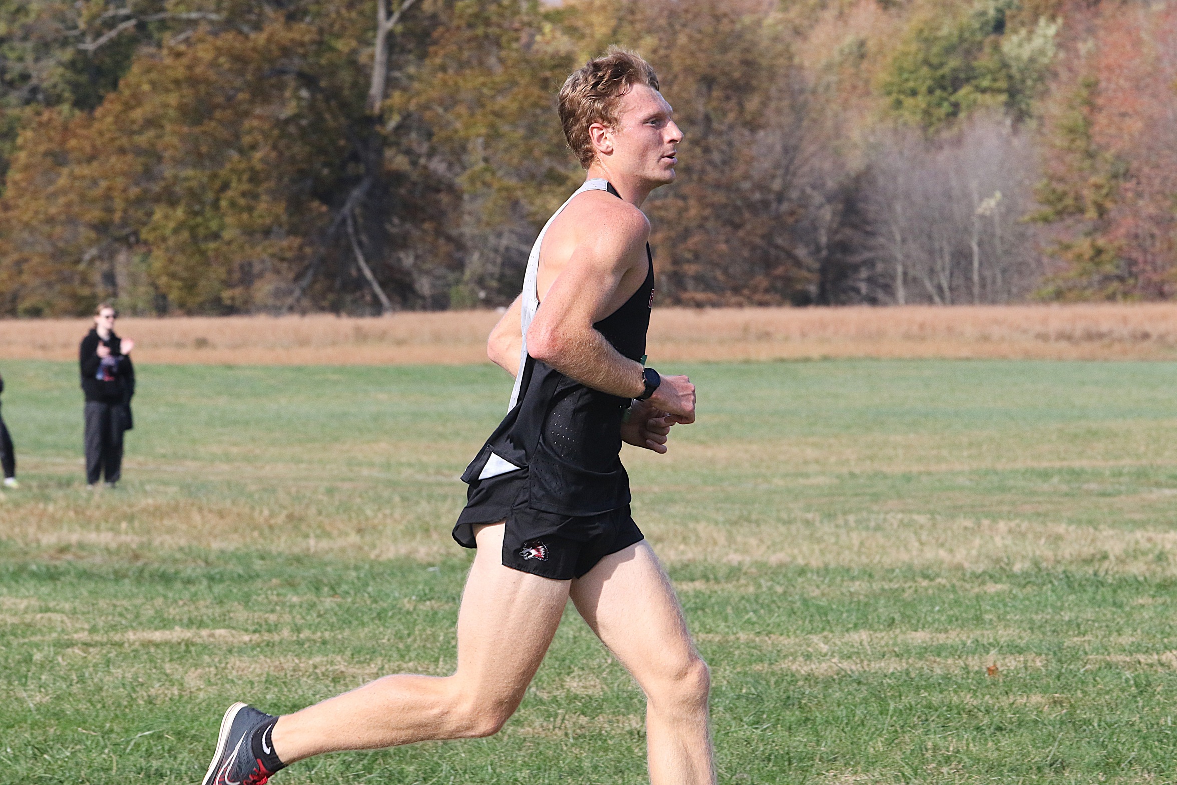 Cross Country: Wildcat Twilight Invitational Preview